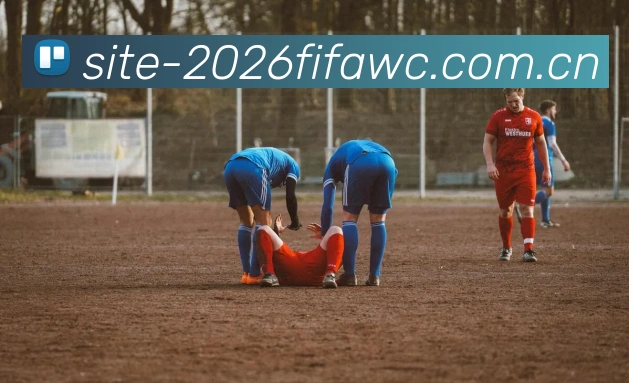 2026世界杯数据界面预览